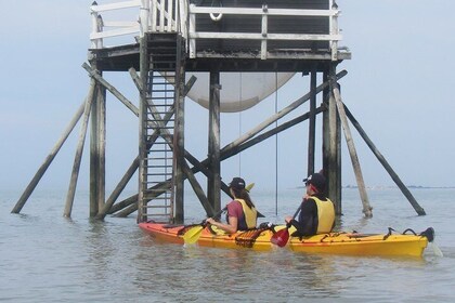 Discovery kayak 17 3-hour getaway