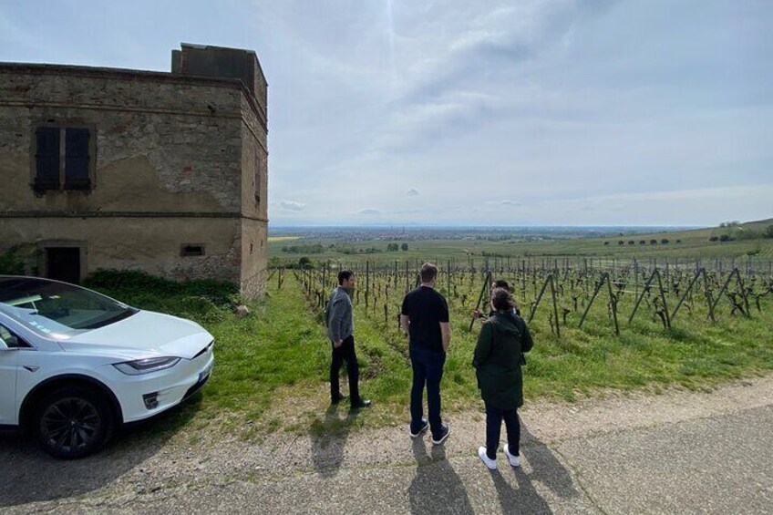 "Le petit Alsacien" Tour with Local private friendly driver and a Tesla 