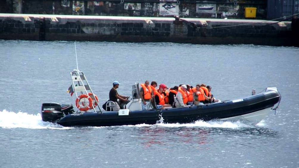 A boat takes to the water in search of whales to watch