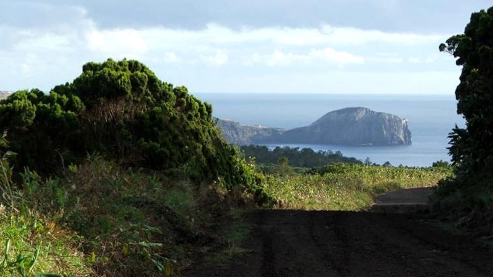 Beautiful green coastline of Faial