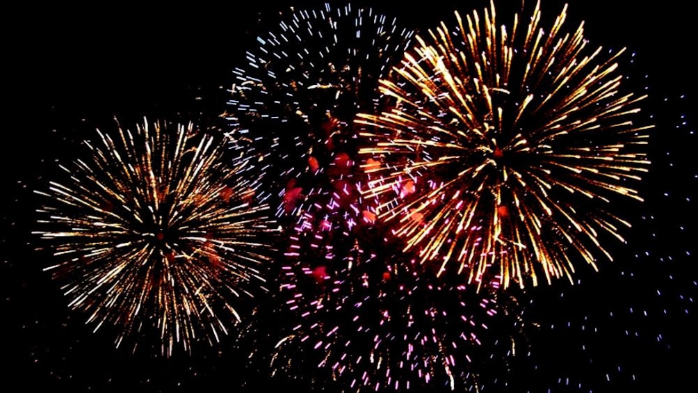 Show item 3 of 7. Fireworks exploding in the sky