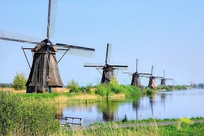 Private tour from Rotterdam to Windmills of Kinderdijk & Gouda Cheese Exper...