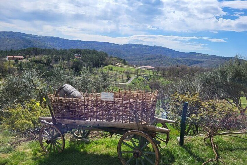 Day trip on Saturday: HUM and MOTOVUN