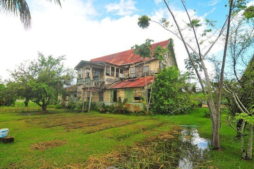 Full-Day Guided Commewijne Plantation Tour by Car