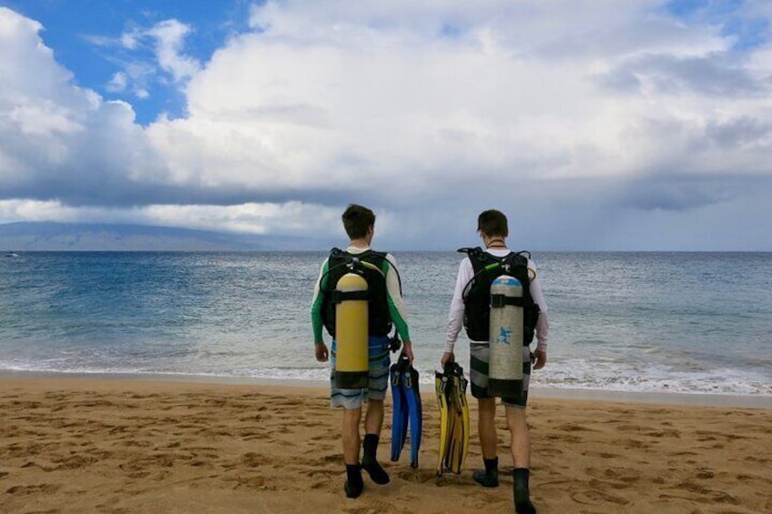 Shore diving on Maui is a great way to reintroduce yourself to diving!