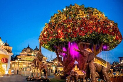 Everland Full Day Trip with Admission and Transfers from Seoul