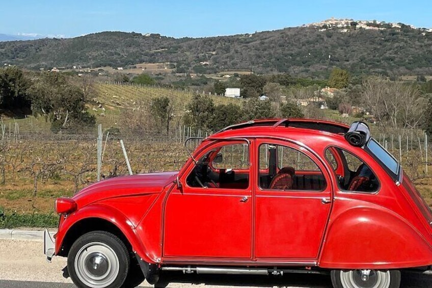 1/2 day private Vintage tour, vineyards of Saint-Tropez