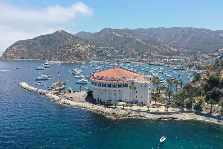 Catalina Island Ferry Newport Beach To Avalon Must Book Return