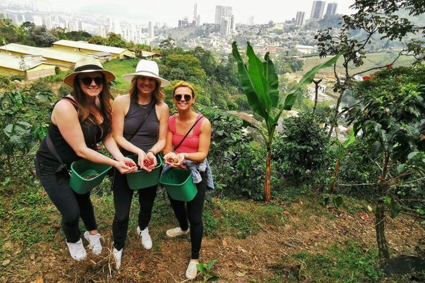 Private Coffee Farm Tour & ATVs: A Super Fun & Educational Day