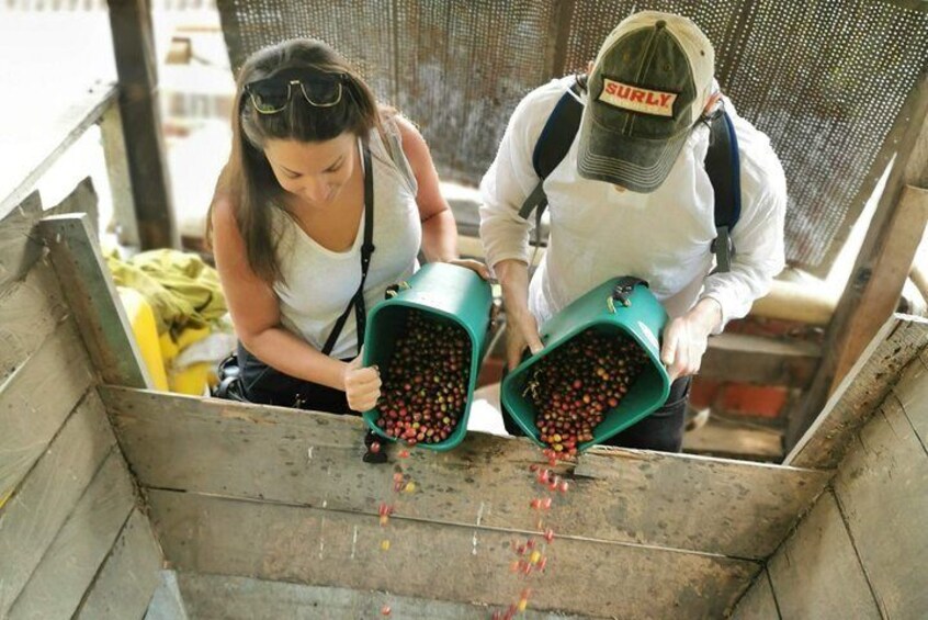 Private Coffee Farm Tour & ATVs: A Super Fun & Educational Day