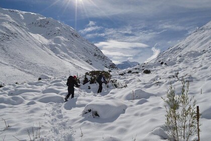 Private Snowshoes Hike Full Day experience in Cajón del Maipo from Santiago