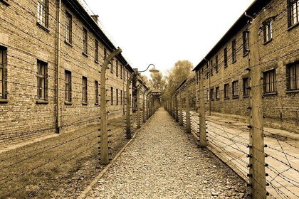 Auschwitz Birkenau live guide tour