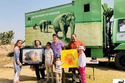 Half-Day Private Sightseeing tour to Wildlife SOS from Agra
