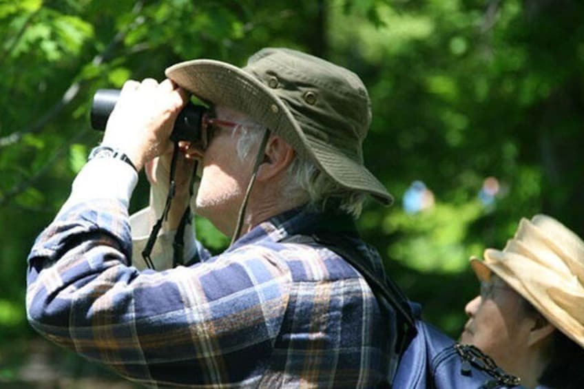 Birdwatching Walk in Thalangama Wetland from Colombo