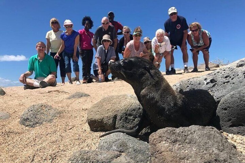 Full Day Bartolome Island & Sullivan Bay