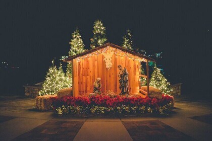 Nativity Scene Christmas Special Tour