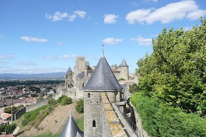 Day tour : Cité de Carcassonne and wine tasting. private tour from Carcasso...