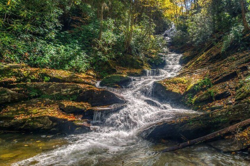 Half Day Hike - Water Falls