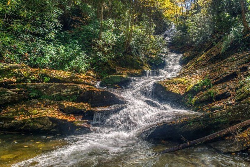 Half Day Hike - Water Falls