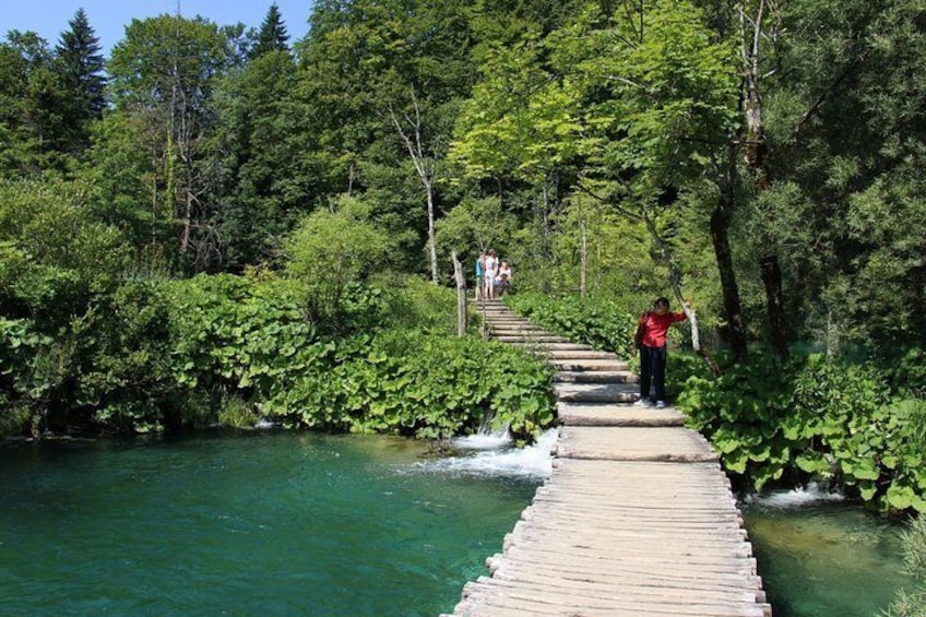 wooden walkway in the park