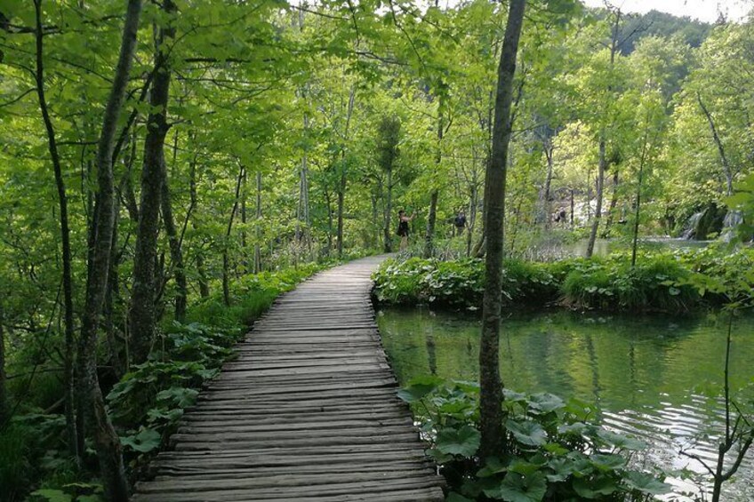 walk pass the lakes in the forest of NP Plitvice