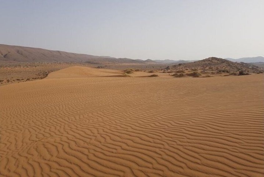 Spend 2-Days / 1-Night in Sahara Desert