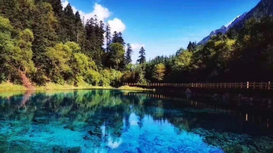 Private 3-Day Tour to Jiuzhaigou from Chengdu by Car