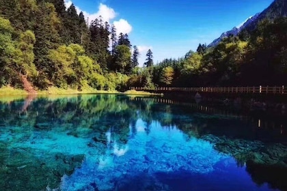 Private 3-Day Tour to Jiuzhaigou from Chengdu by Car