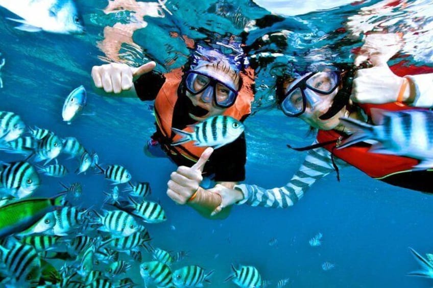 Snorkeling in Negombo