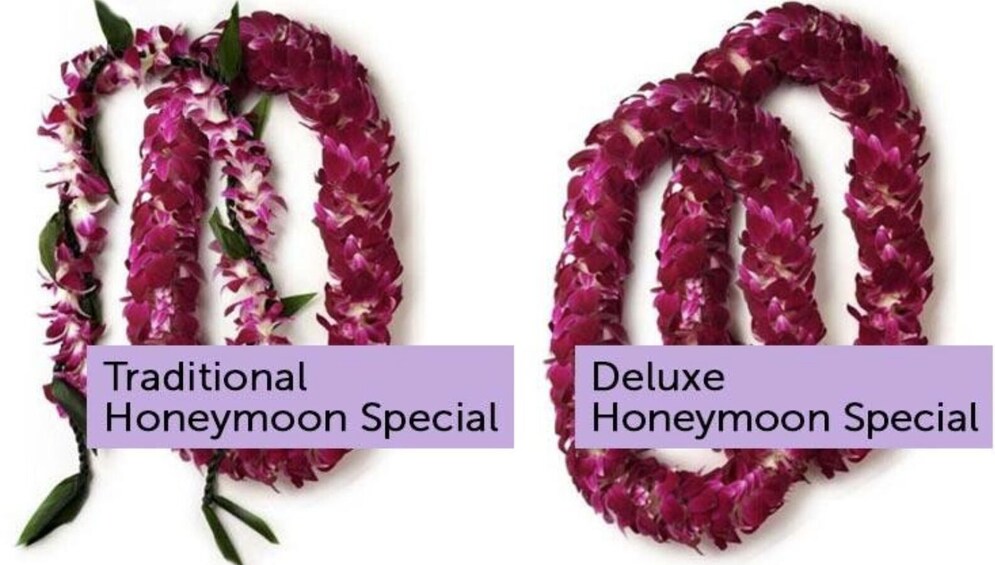 Honeymoon Lei Greeting at Honolulu Airport