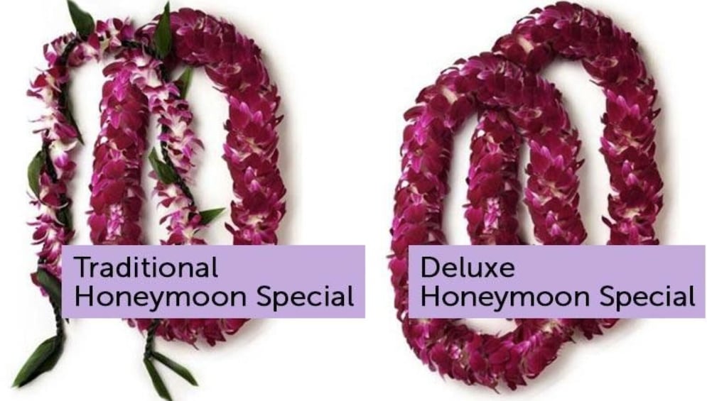 Honeymoon Lei Greeting at Honolulu Airport