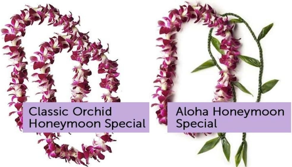 Honeymoon Lei Greeting at Honolulu Airport