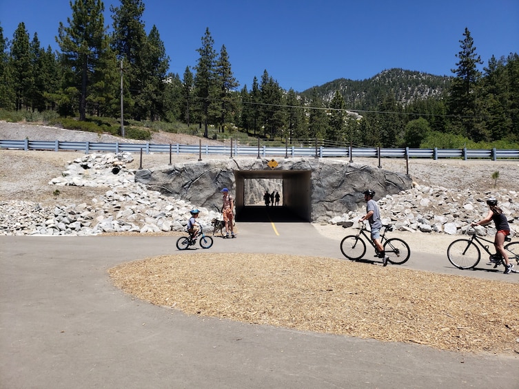 Full Day Bike Rental of Lake Tahoe