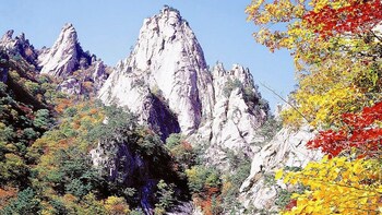 7-Day Discover Korea Tour