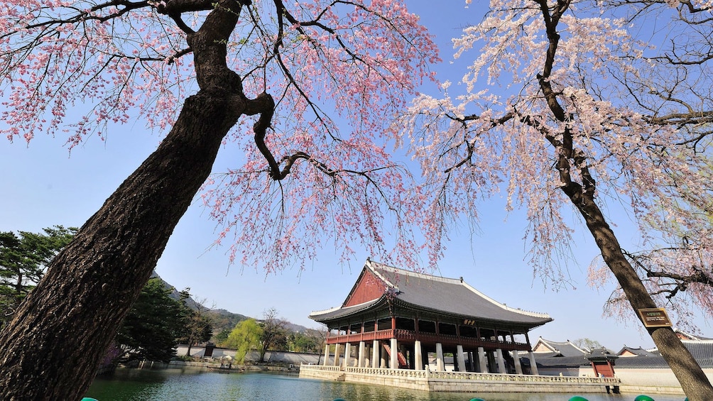Show item 5 of 5. Day view of Gyeongbokgung Palace in Seoul