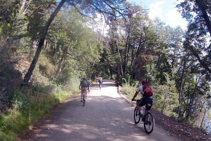 Mountain Bike Adventure in Bariloche - Half Day Tour in Private Service