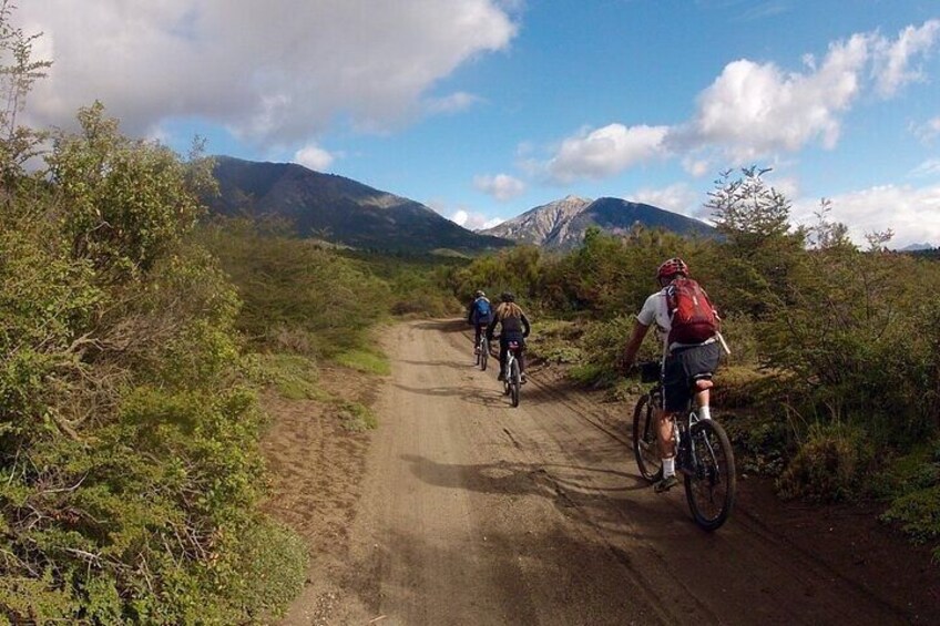 Mountain Bike Adventure in Bariloche - Half Day Tour in Private Service