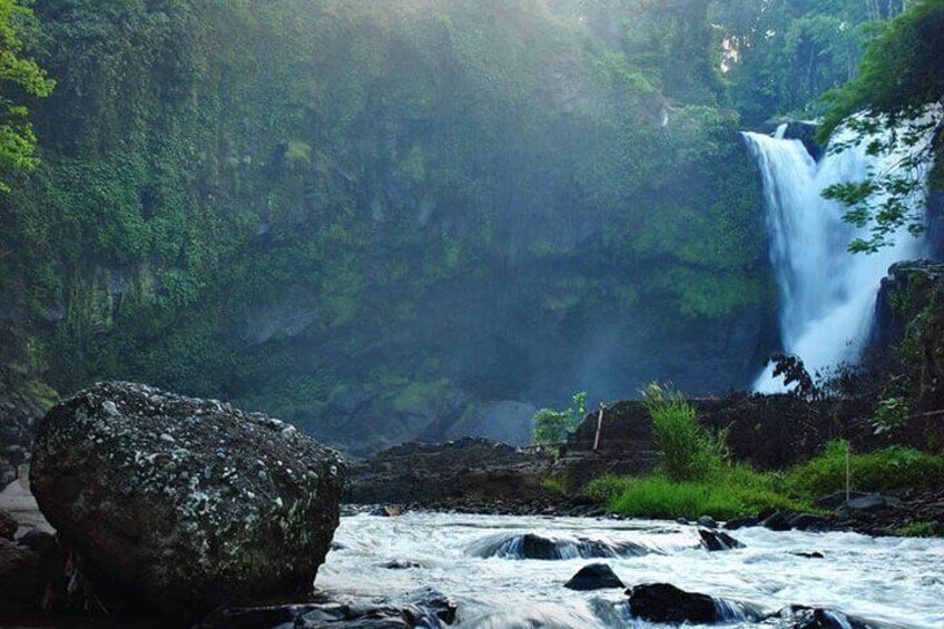 Best of Ubud with Jungle Swing Tour