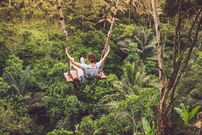 Best of Ubud with Jungle Swing Tour