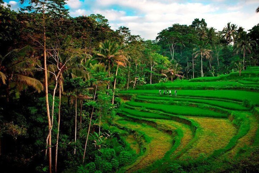 https://www.tripadvisor.com/PreviewImage?p=11&img=185734361
