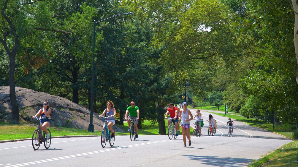 tandem bike rental central park