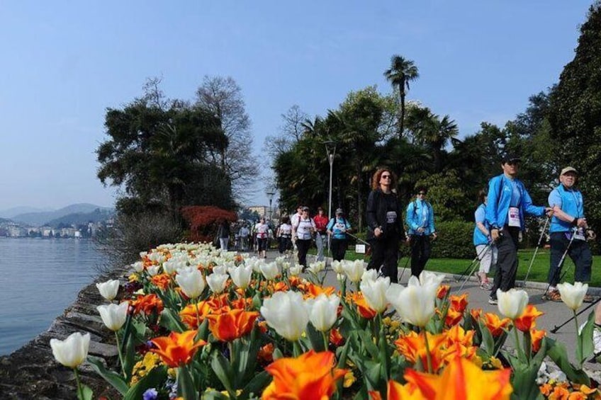 Lugano city tour + beer tasting