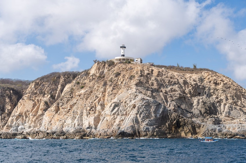 Coastal Bays Boat Tour