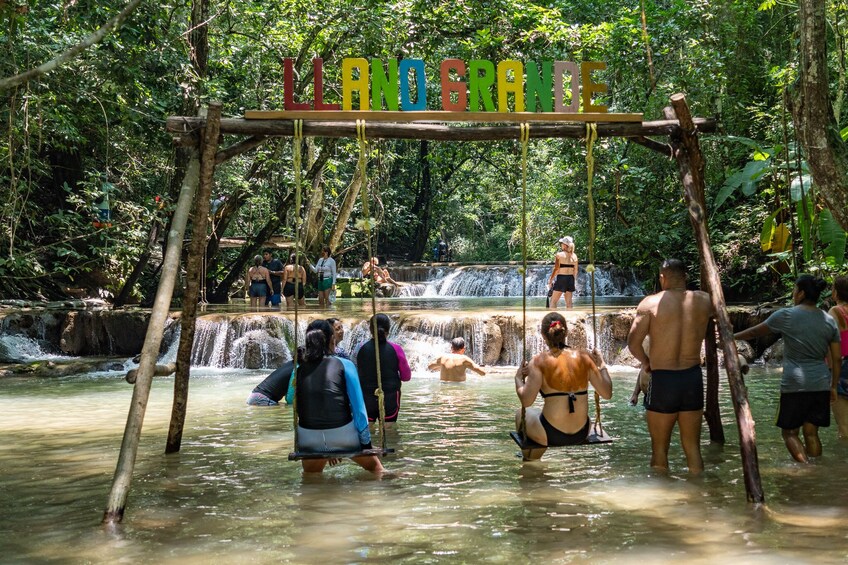Coffee Flavor Waterfalls Tour