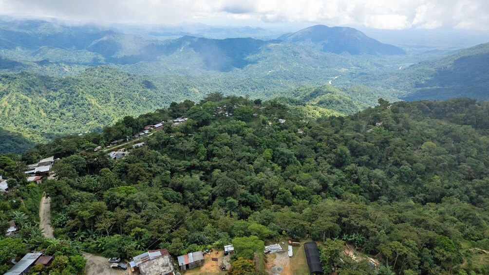 From Huatulco: Pluma Coffee, Origin and Essence