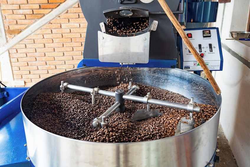 From Huatulco: Pluma Coffee, Origin and Essence