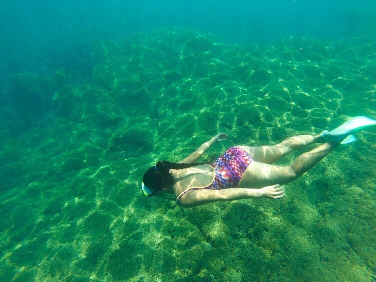 Coastal Snorkeling Tour