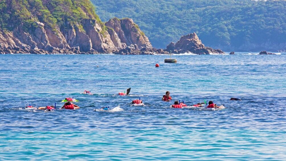 snorkelers out in open water with rocky coastline in the distance