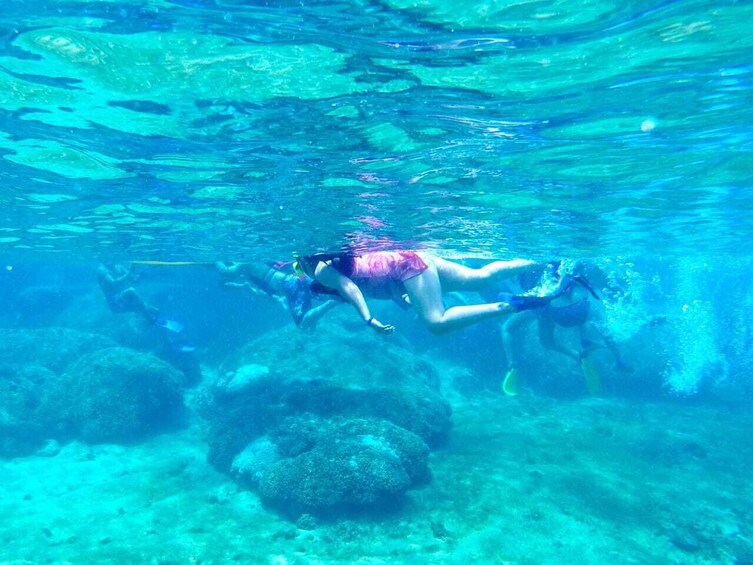 Coastal Snorkeling Tour
