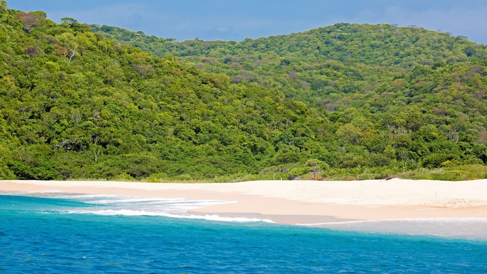 Blue water, white sand, and green jungle